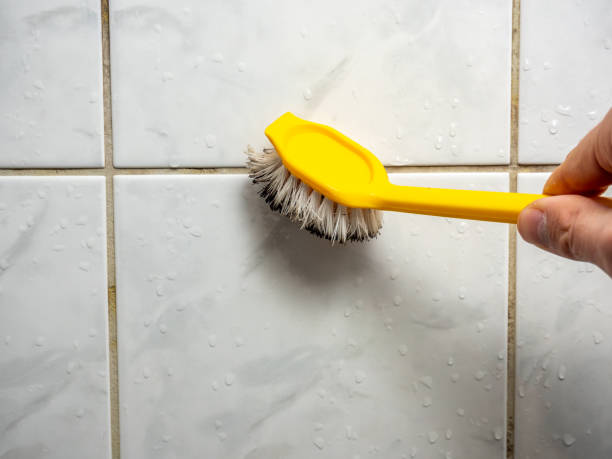 Best Mold Testing  in Waynesburg, PA